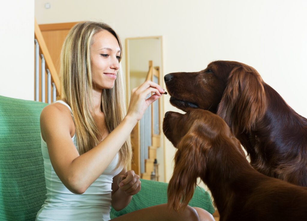 Tutor segurando uma plaquinha com nomes para cães masculinos gravados