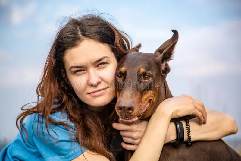 Doberman é leal e demonstra vínculo emocional com o tutor.